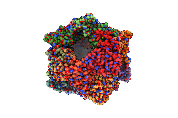 8T6E image