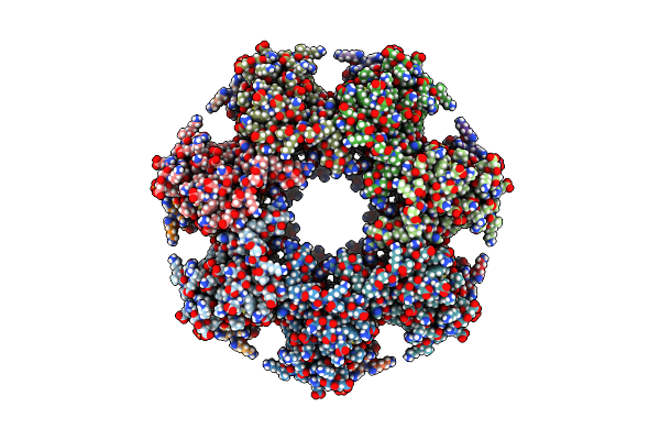 8T6K image