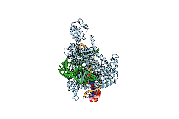 8T78 image