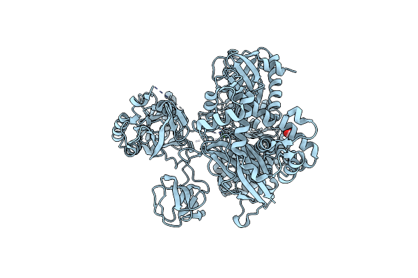 8T7C image