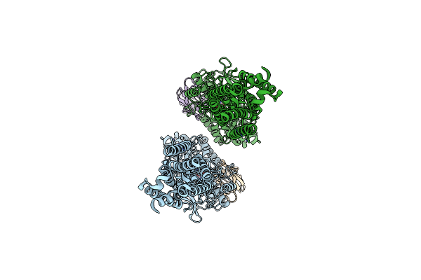 8T7H image