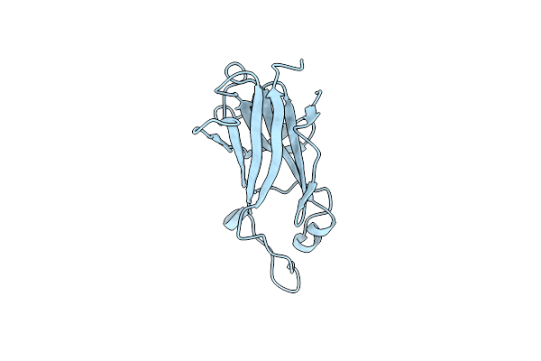 8T7K image