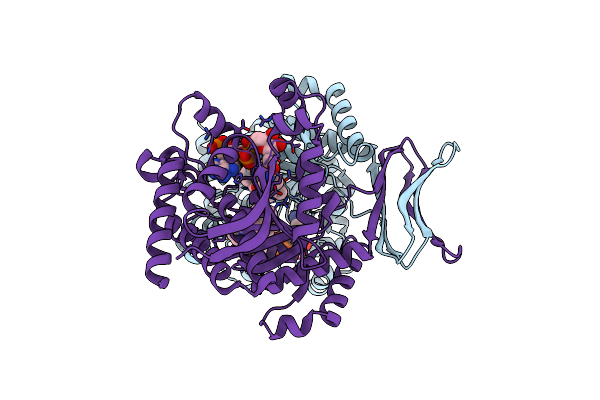 8T7N image