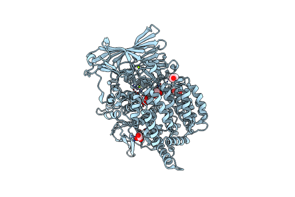 8T7P image