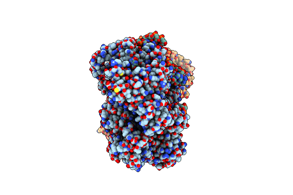 8T7S image