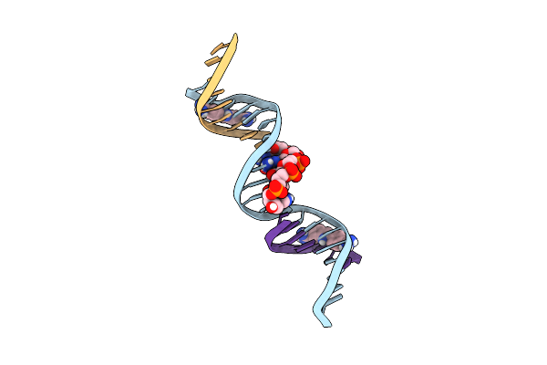 8T7X image