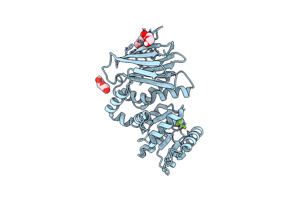 8T85 image