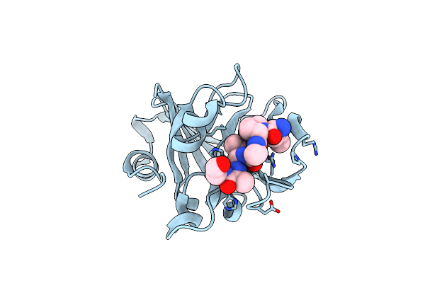 8T8G image