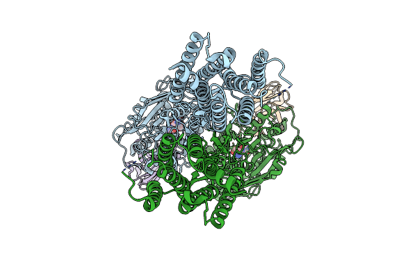 8T8M image