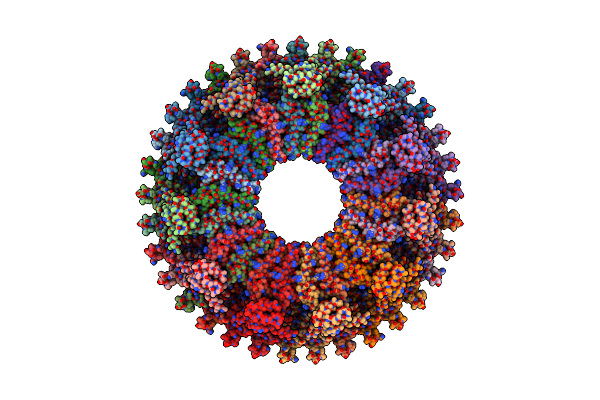 8T8P image
