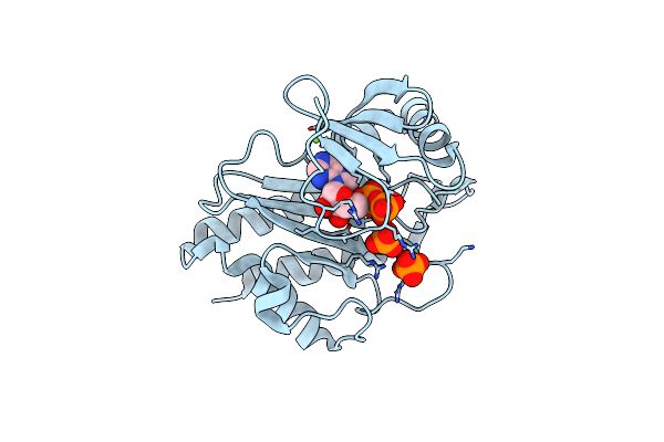 8T8V image