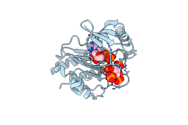 8T8Z image