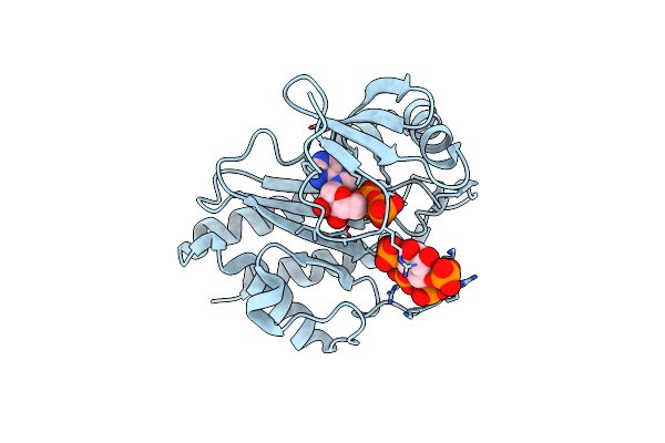 8T93 image