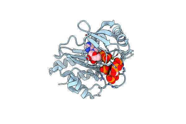 8T96 image