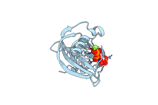 8T99 image
