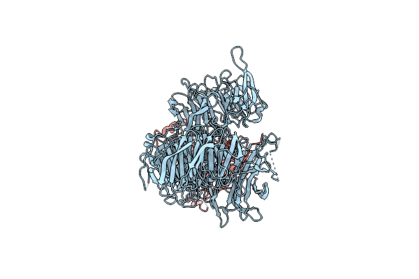 8T9A image