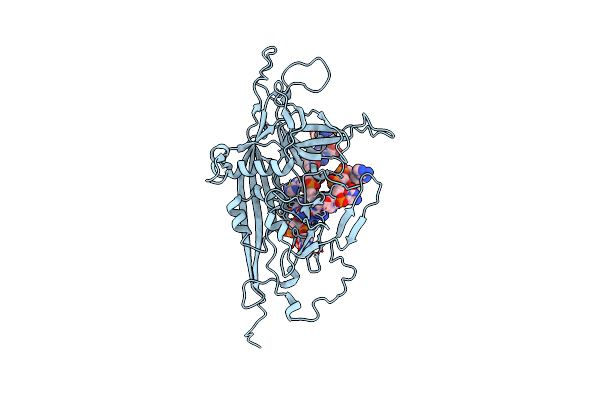 8T9C image