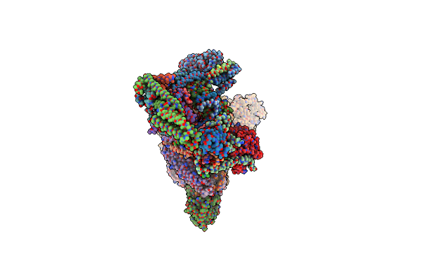 8T9D image