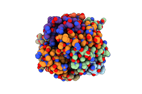 8T9P image