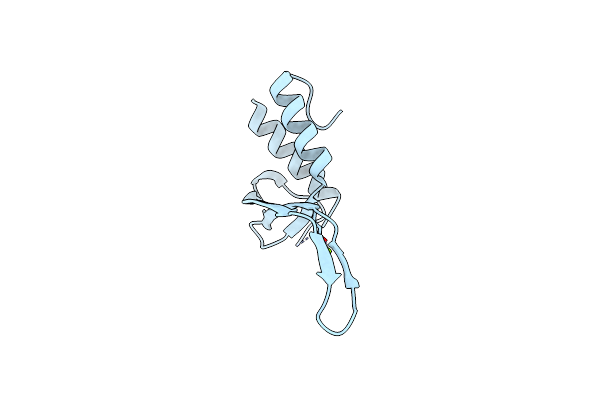 8T9S image
