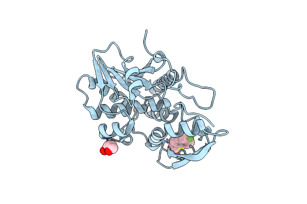8T9V image