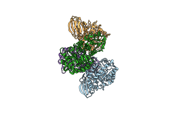8T9W image
