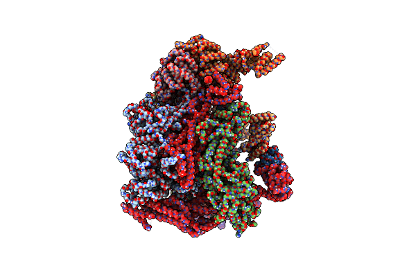 8TAR image