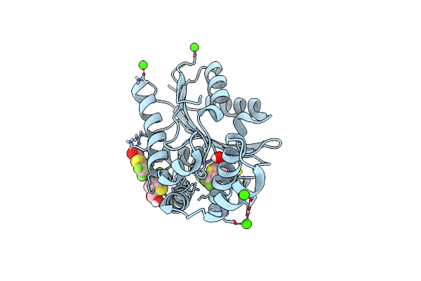 8TAV image