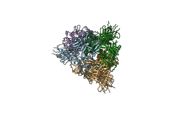 8TAZ image