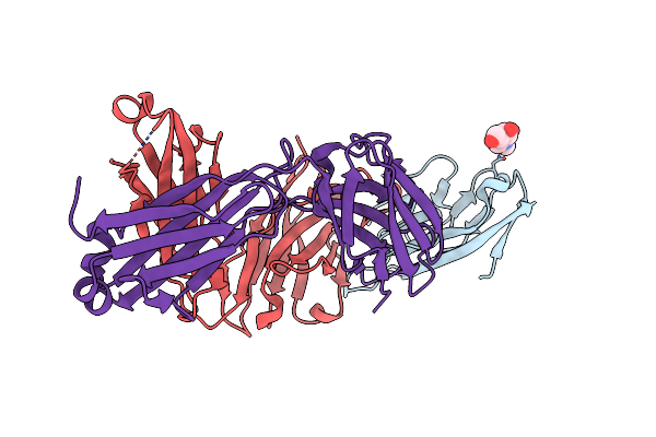 8TBB image