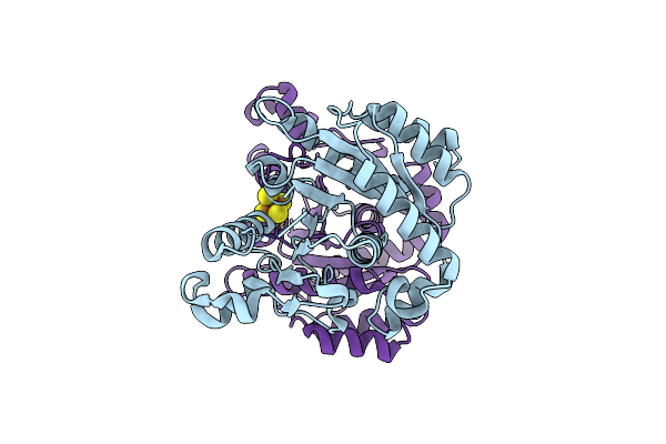 8TC3 image