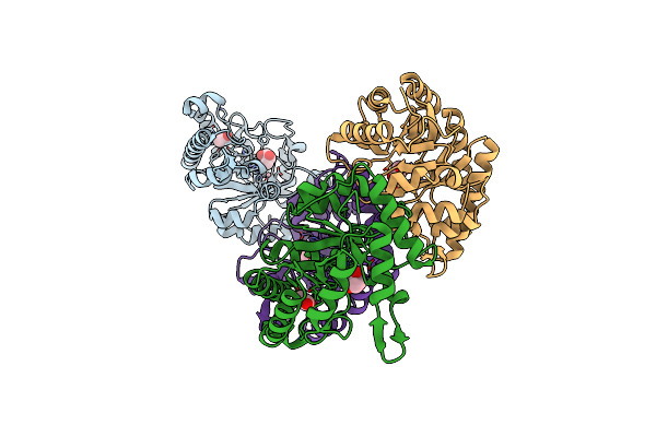 8TCD image