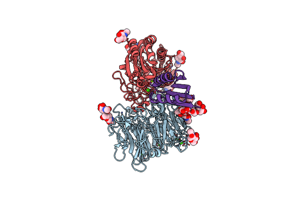 8TCF image