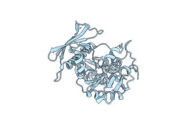 8TCK image