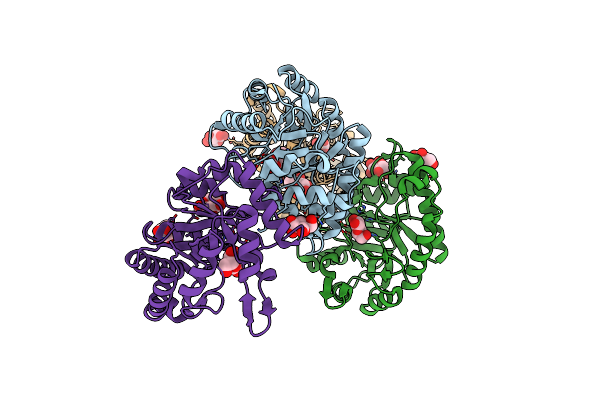 8TCR image