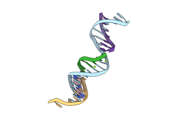 8TDT image