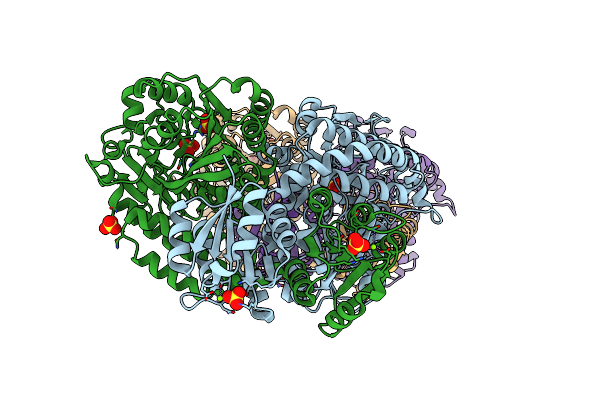 8TEF image