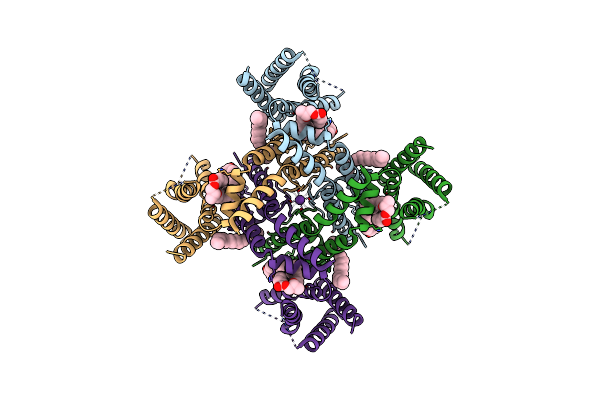 8TEO image