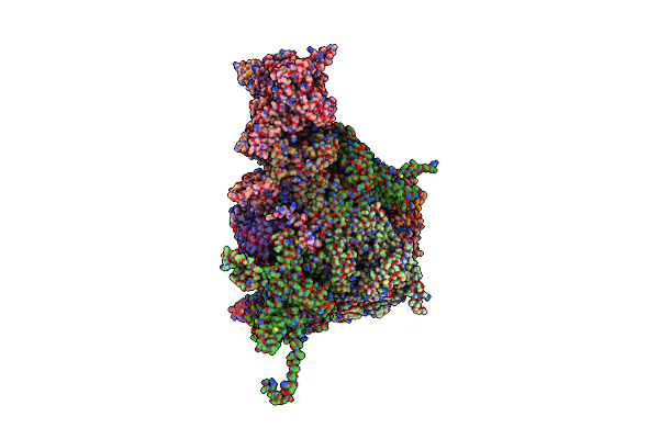 8TET image