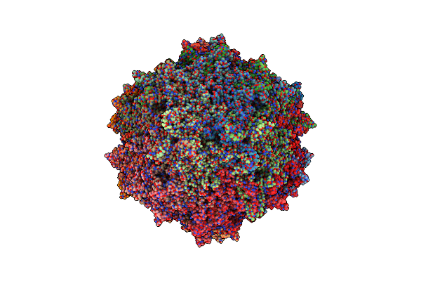 8TEX image