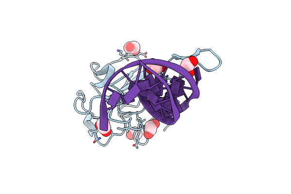 8TFD image