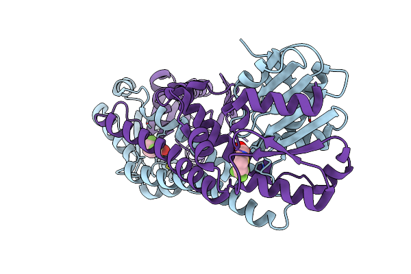 8TFW image