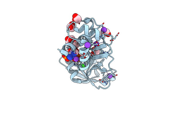 8TFX image