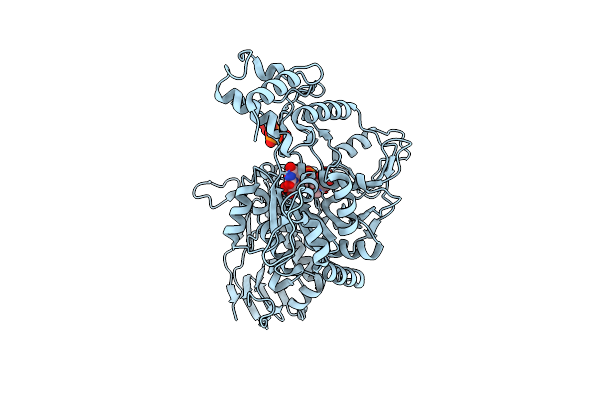 8TG2 image