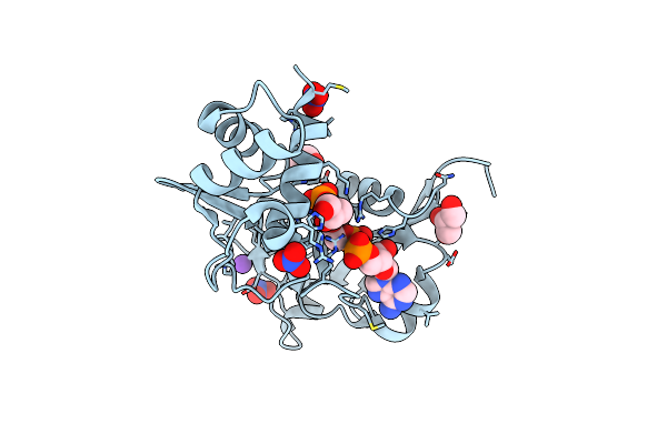 8TG3 image