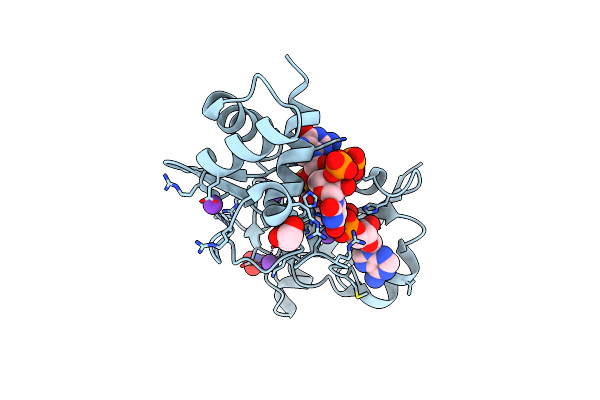 8TG4 image