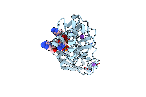 8TG5 image