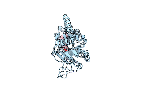 8TGP image