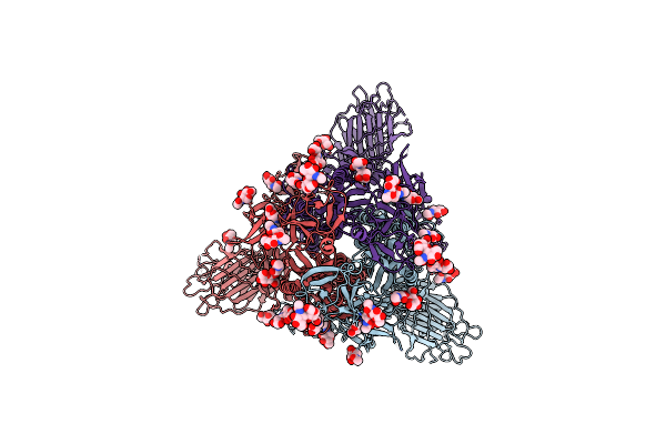 8THF image