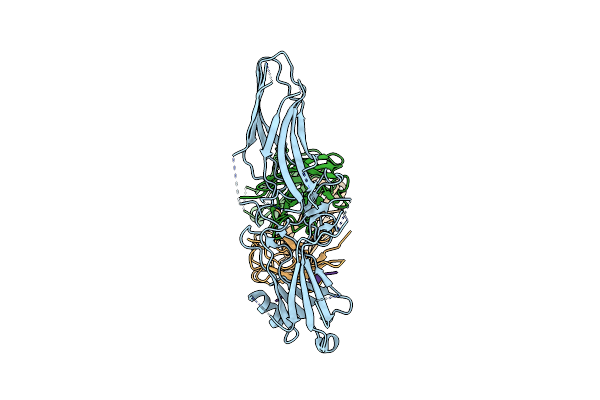 8TIN image